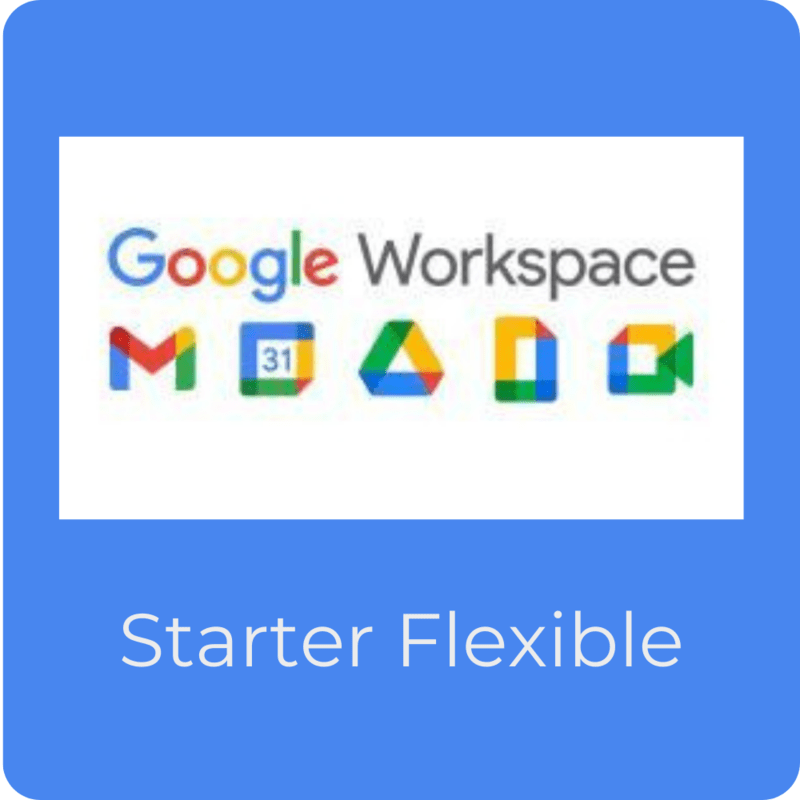 Licencia Google Workspace Business Starter - Flexible